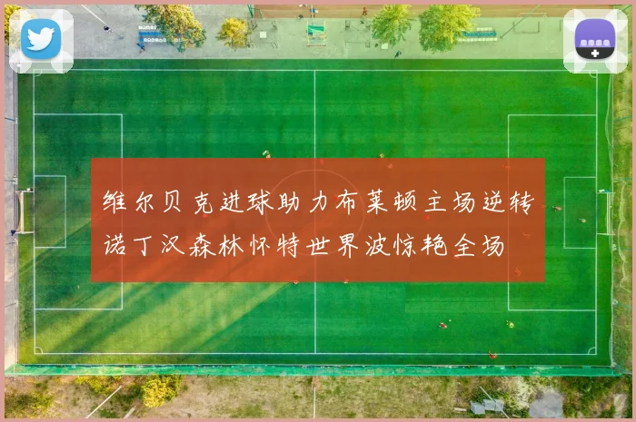 维尔贝克进球助力布莱顿主场逆转诺丁汉森林怀特世界波惊艳全场