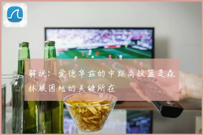 解说：爱德华兹的中距离投篮是森林狼团结的关键所在